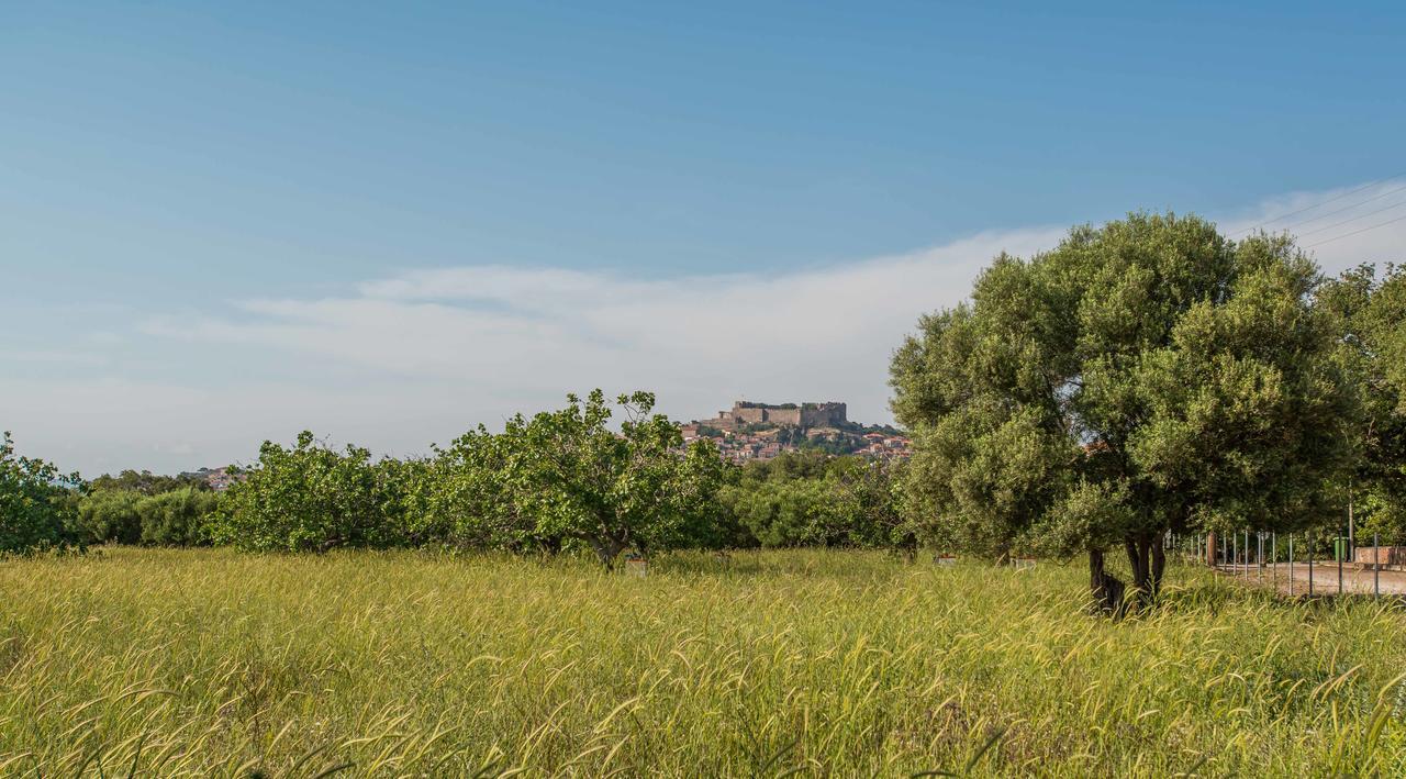 Hotel Delfinia & Mithymna